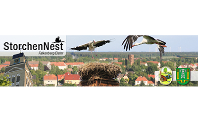 Storchennest Falkenberg Elster